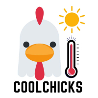 Coolchicks